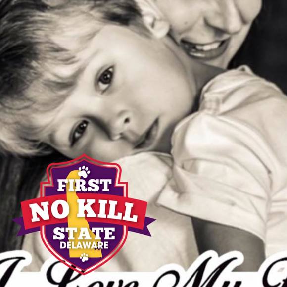 Meet your Posher, Barbara - Picture 1 of 1